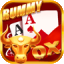rummy gogo 51 bonus download