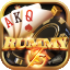 all rummy game